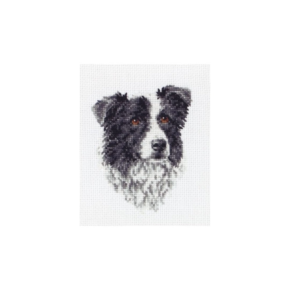 Border Collie Cross Stitch Kit – Wool n Stuff