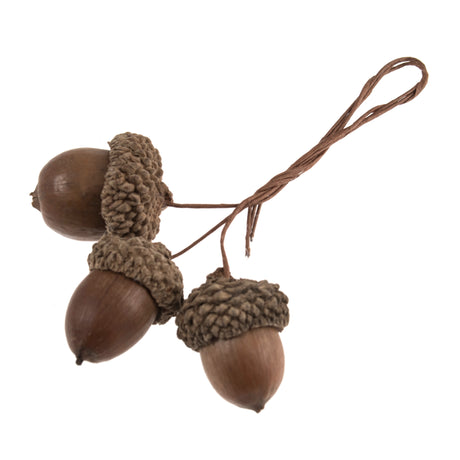 Natural Acorns