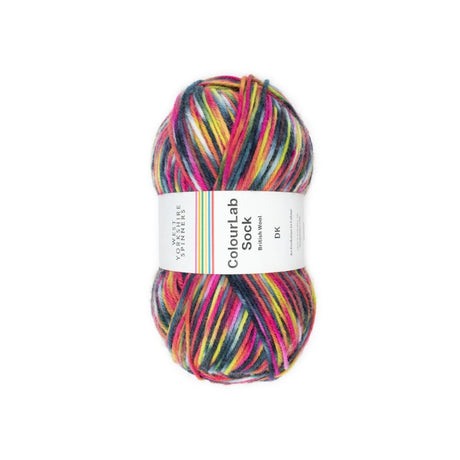 West Yorkshire Spinners Colourlab Sock DK Yarn Punk