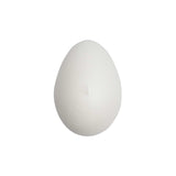 Polystyrene Eggs Pack of 6