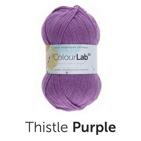 West Yorkshire Spinners Yarn Thistle Purple (717) West Yorkshire Spinners Colour Lab DK Knitting Yarn